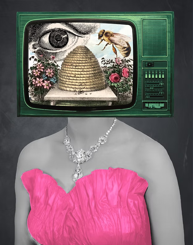 Daydreamer XIII: Tell The Bees