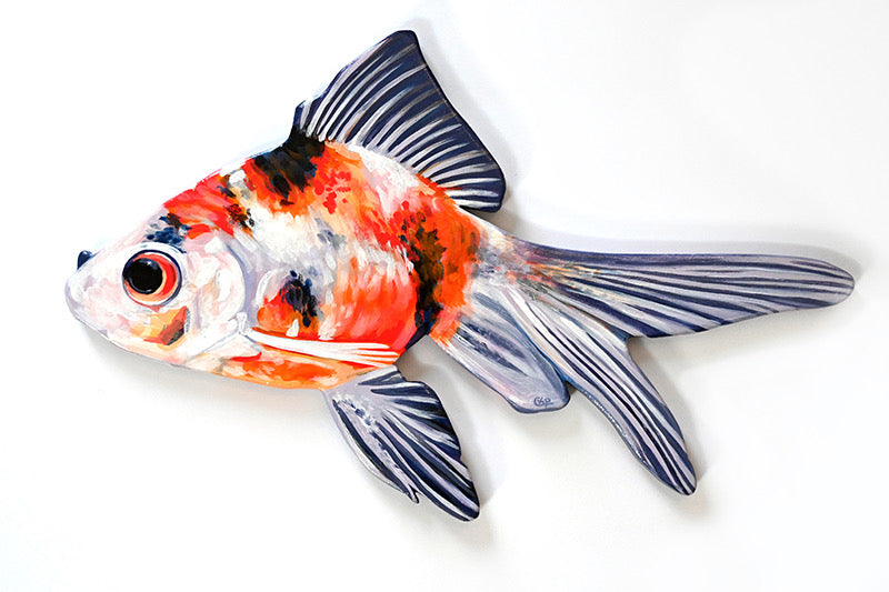 Goldfish
