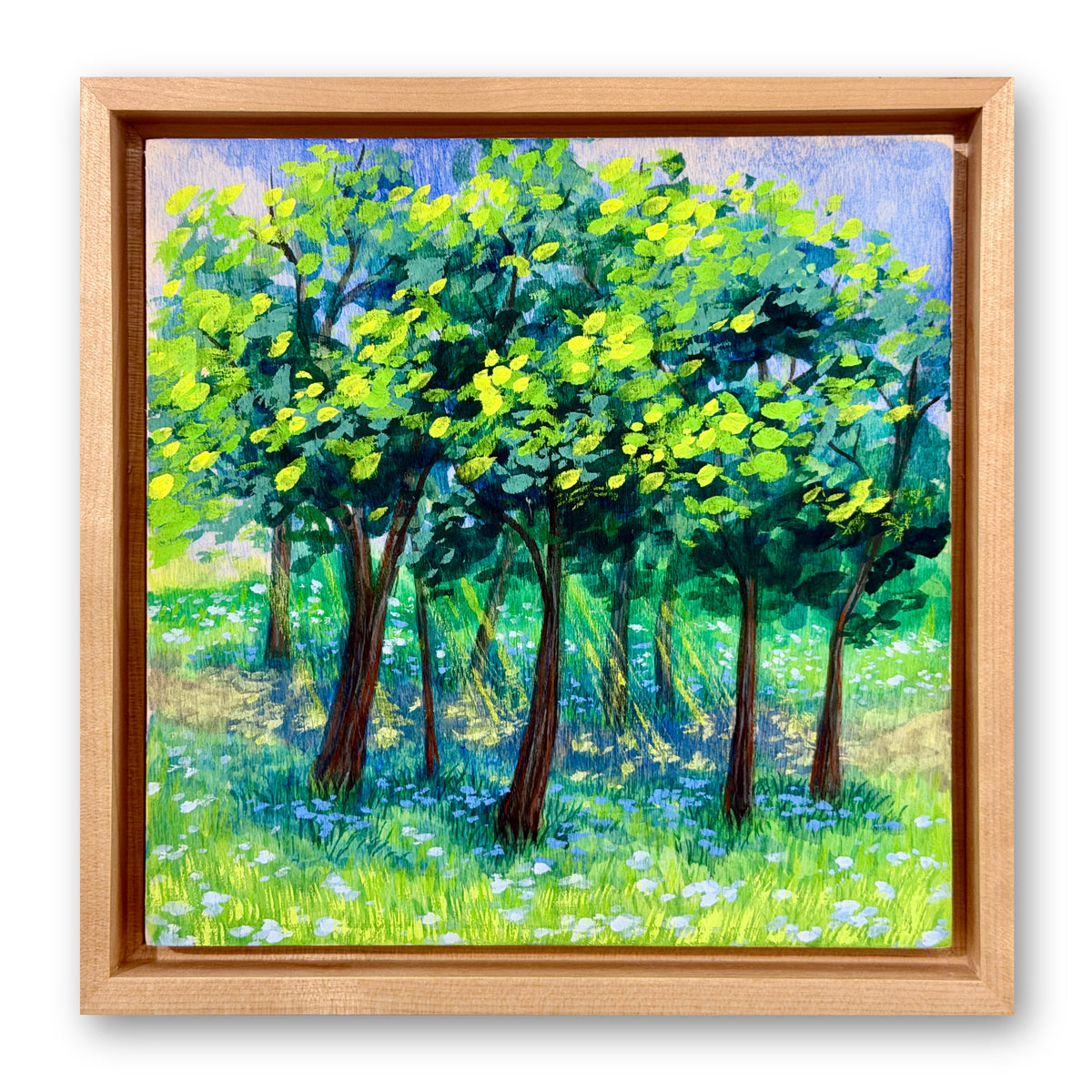 Sunlit Grove