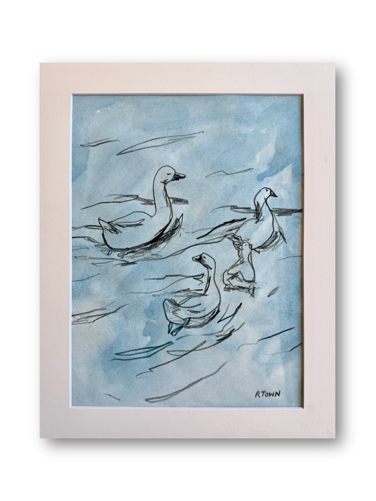 Ugly Ducklings I