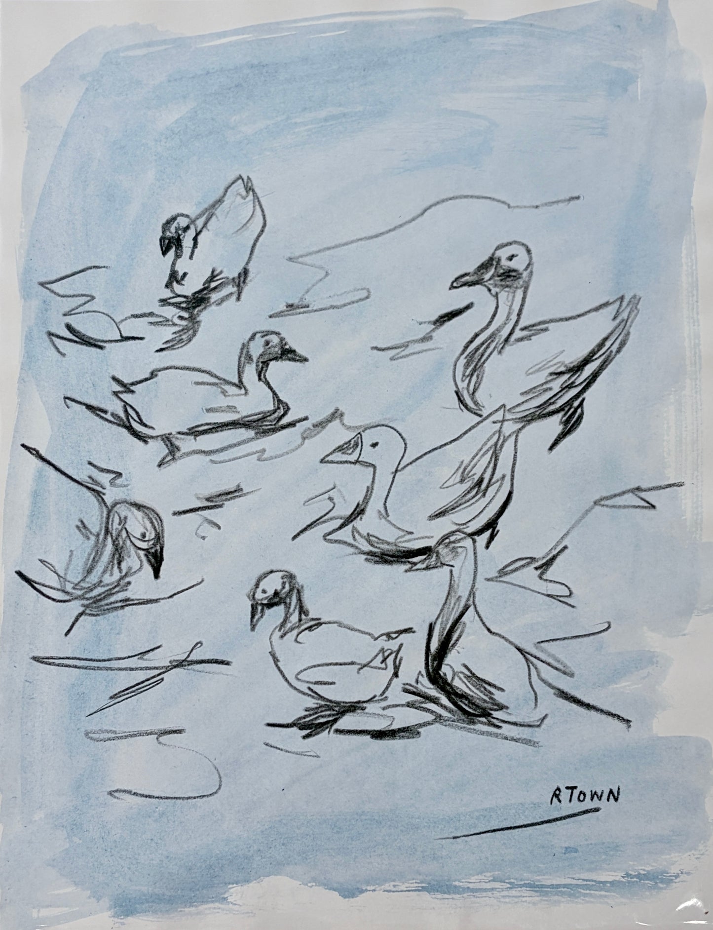 Family Study II