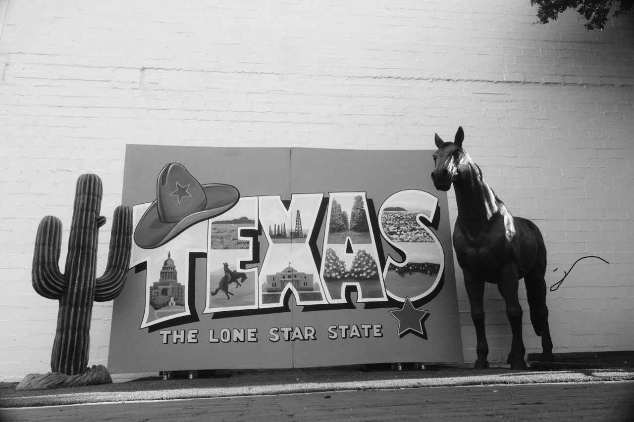Texas on the Wall
