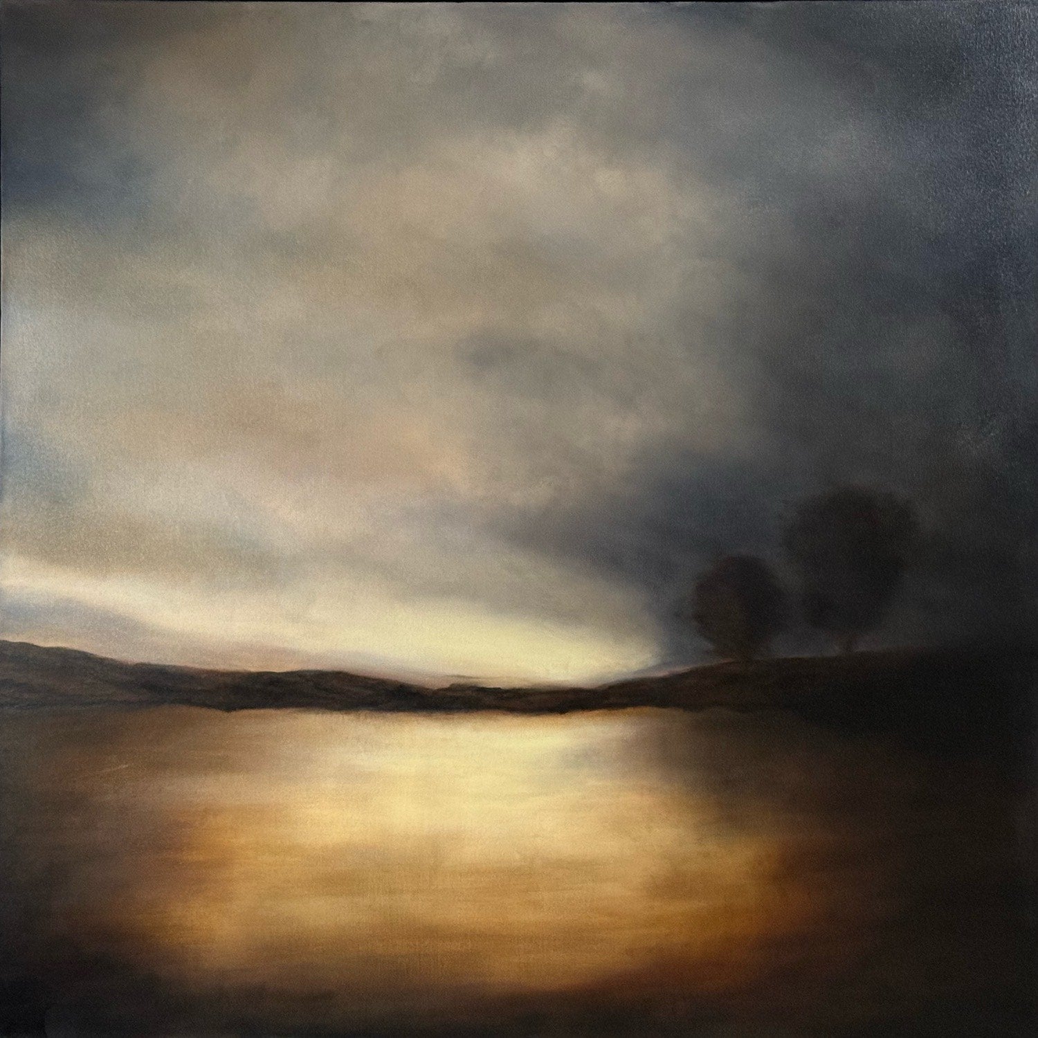 Maykus Homes Collection