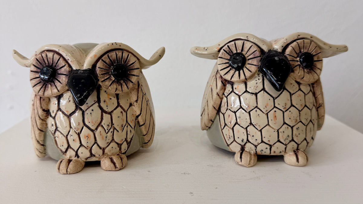 Medium Owl