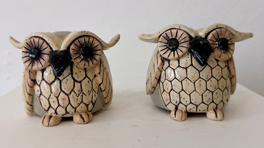 Medium Owl