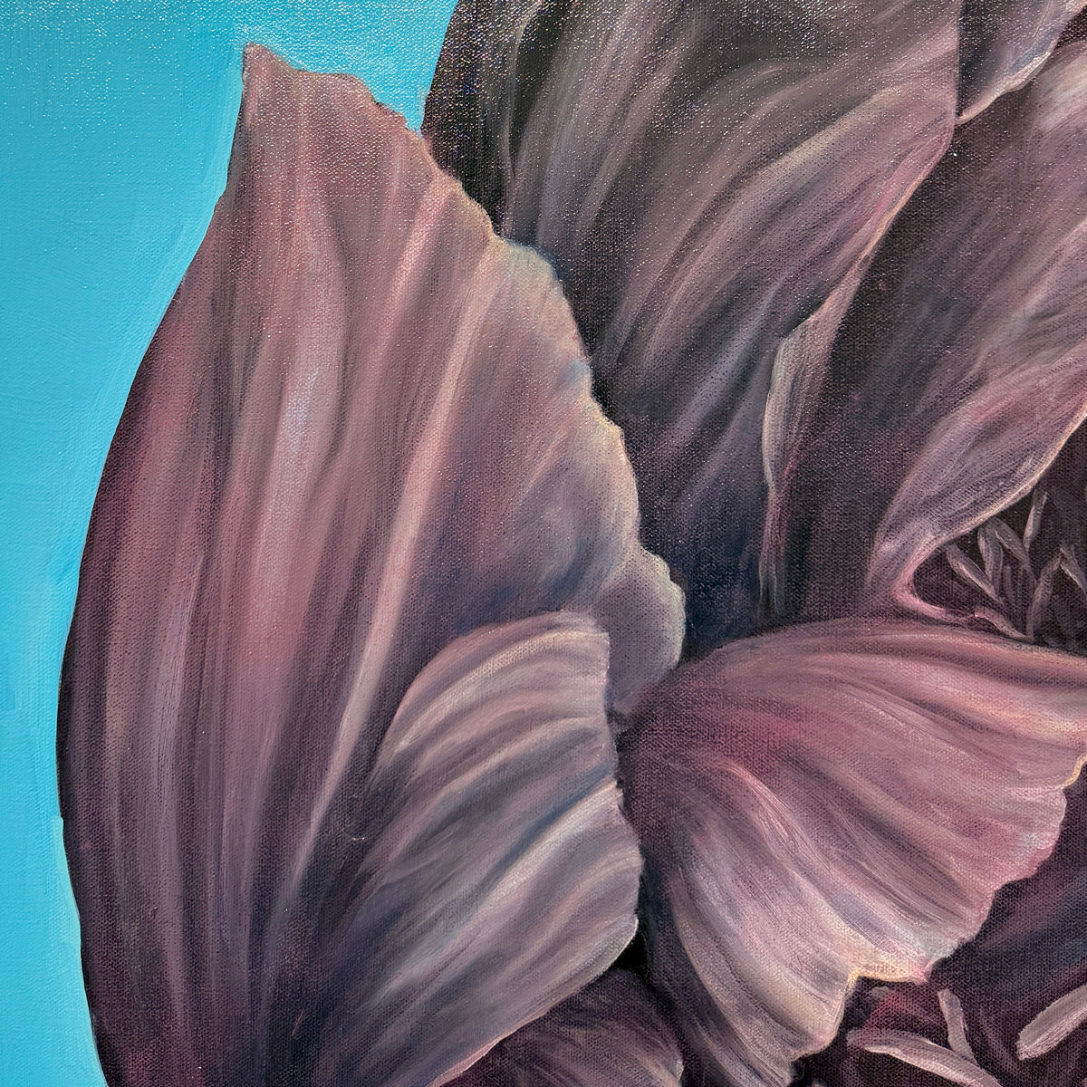 Peony Unfurled