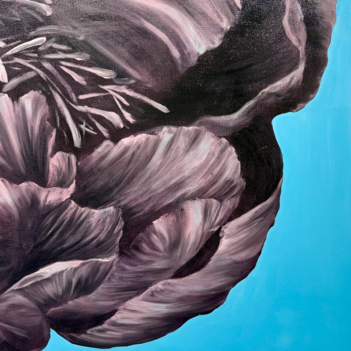 Peony Unfurled
