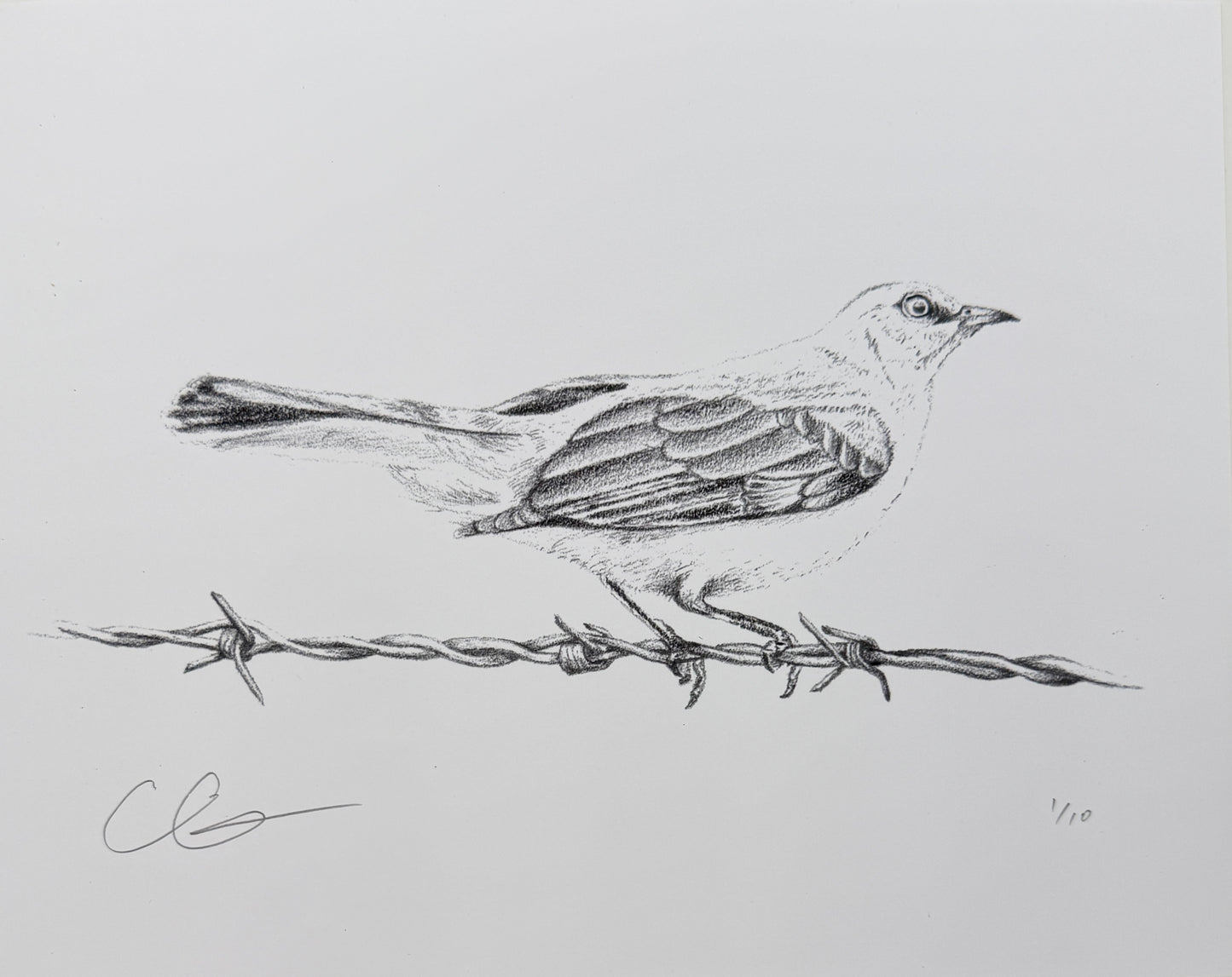 Mockingbird Print