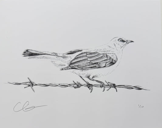 Mockingbird Print