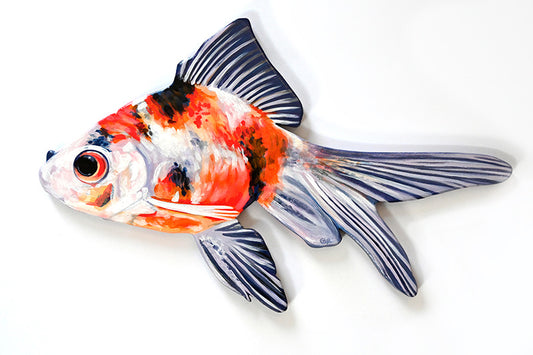 Goldfish