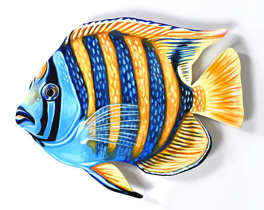 Blue Striped Angelfish