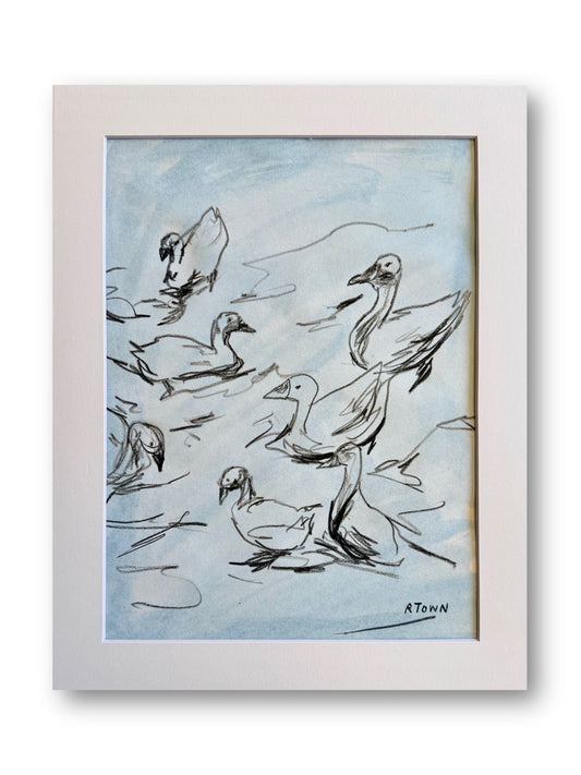 Ugly Ducklings II