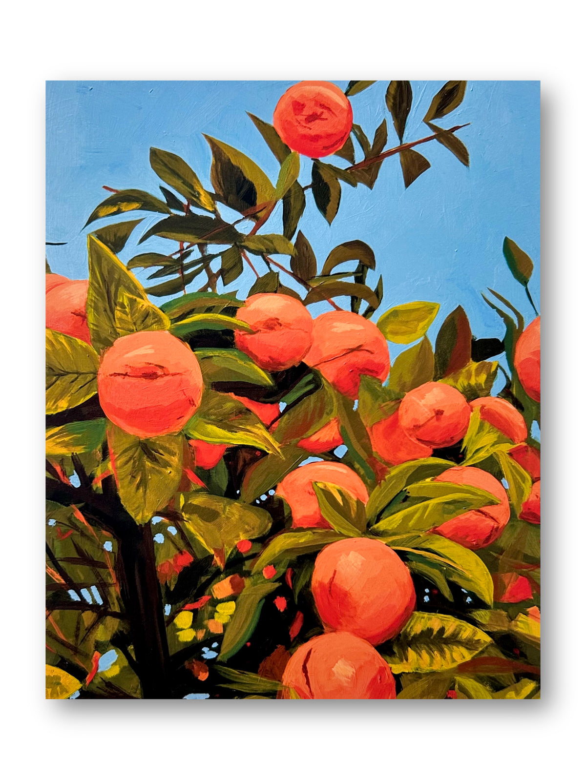 Sevilla Oranges Print