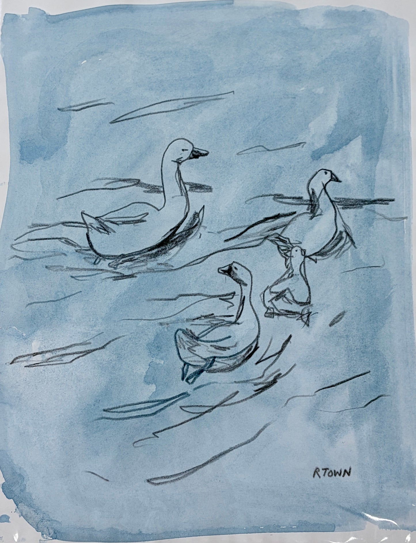 Family Study I