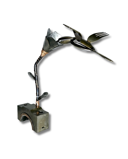 Hummingbird on the Fly